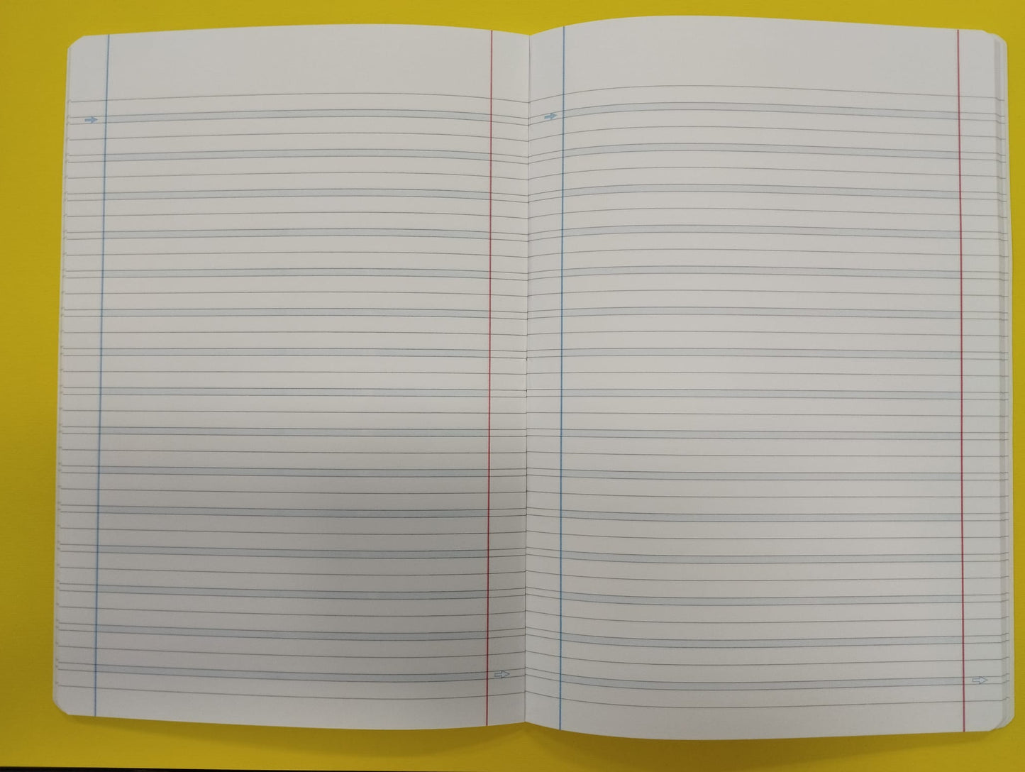 Quaderno A4 Rigatura B per Dislessici