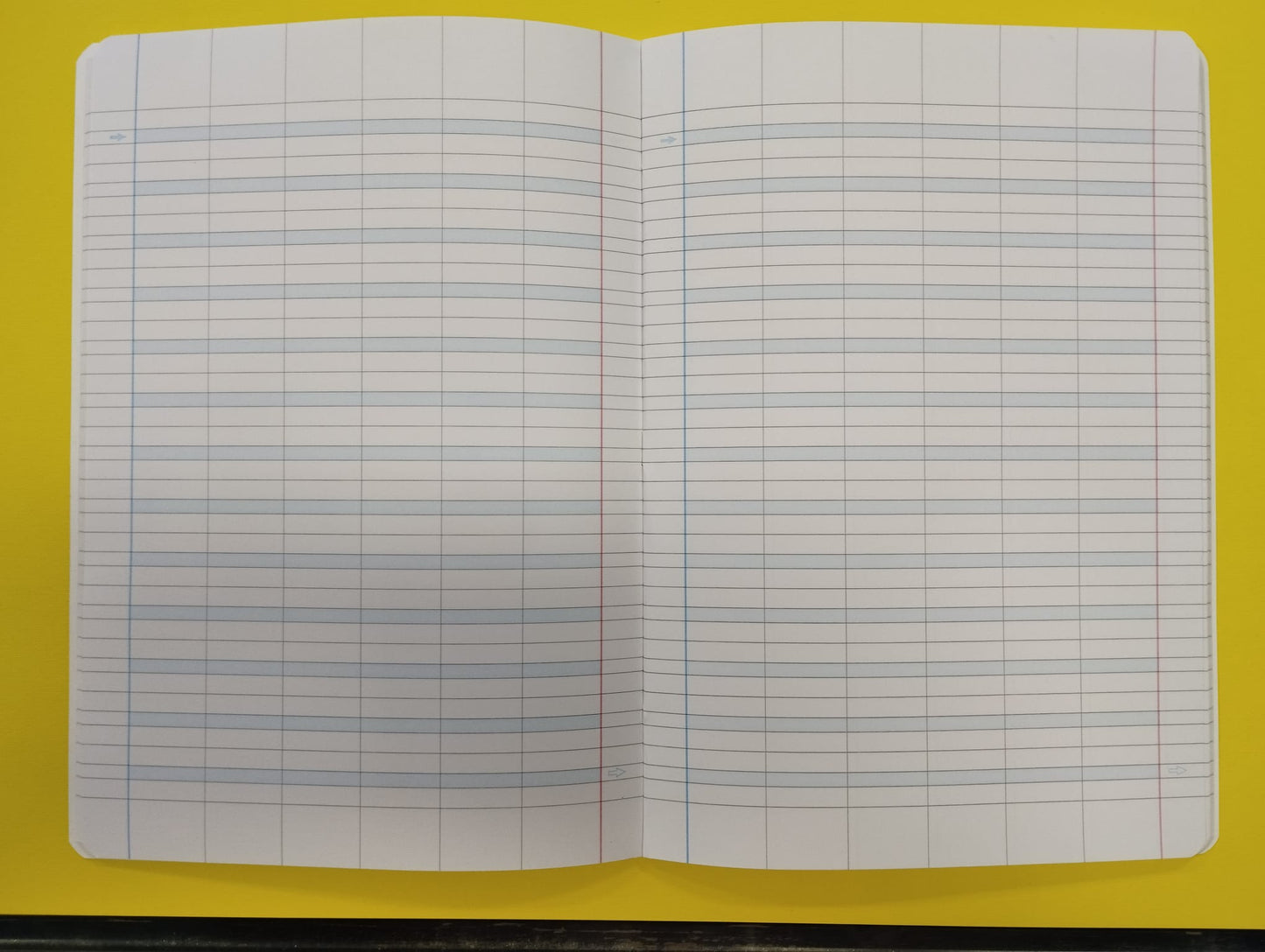 Quaderno rigatura A per dislessici e difficoltà grafiche